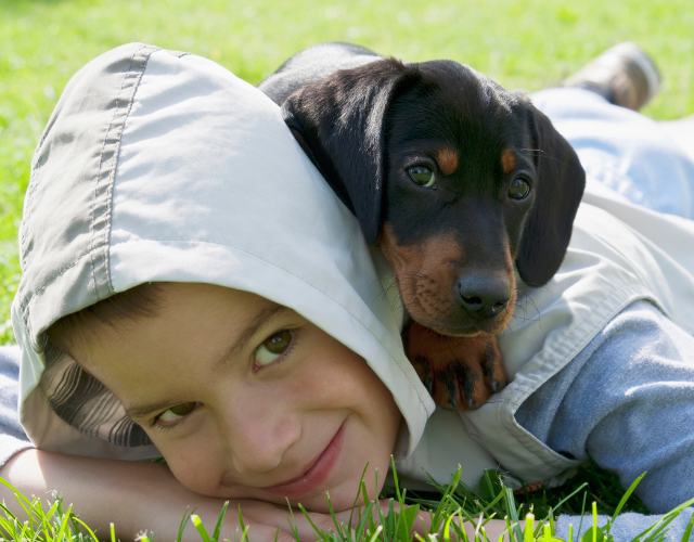 Are dachshunds good with kids and children all age